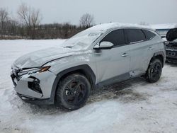 Salvage cars for sale at Columbia Station, OH auction: 2024 Hyundai Tucson SE