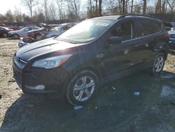 Salvage cars for sale at Waldorf, MD auction: 2013 Ford Escape SE