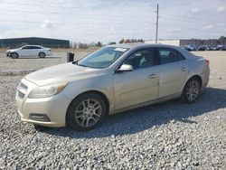 Salvage cars for sale at Tifton, GA auction: 2013 Chevrolet Malibu 1LT