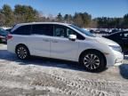 2024 Honda Odyssey EXL