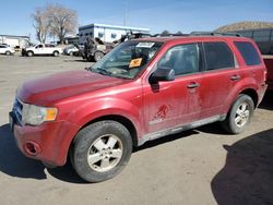 Salvage cars for sale at Albuquerque, NM auction: 2008 Ford Escape XLT