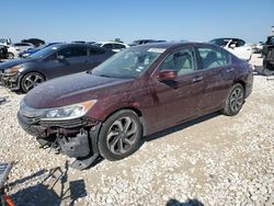 2016 Honda Accord EX en venta en Temple, TX