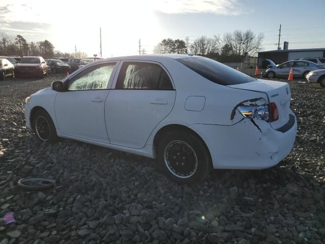 2010 Toyota Corolla Base