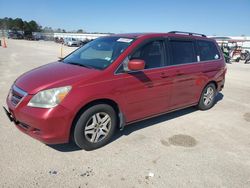 2006 Honda Odyssey EXL en venta en Harleyville, SC