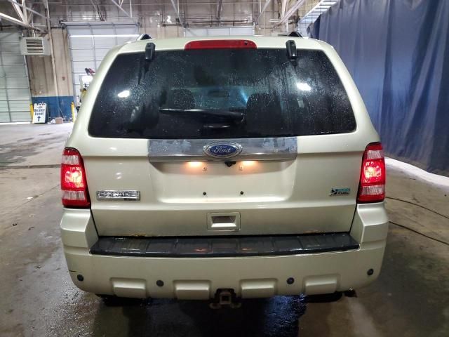 2011 Ford Escape Limited