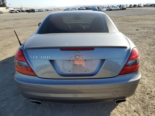 2010 Mercedes-Benz SLK 300