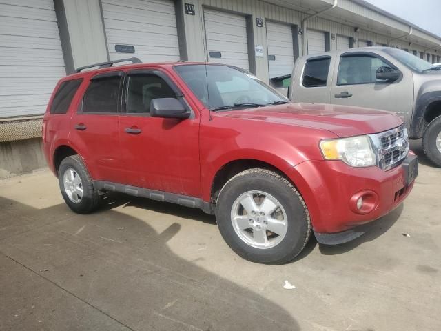 2011 Ford Escape XLT