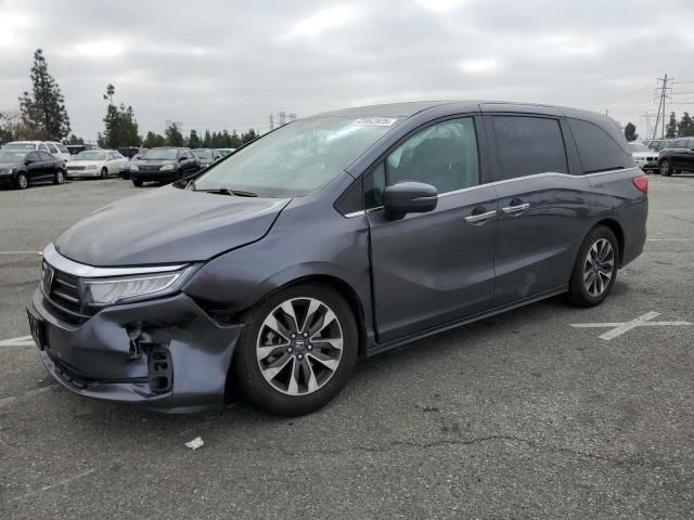 2023 Honda Odyssey EXL