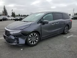 Salvage cars for sale at Rancho Cucamonga, CA auction: 2023 Honda Odyssey EXL