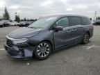 2023 Honda Odyssey EXL