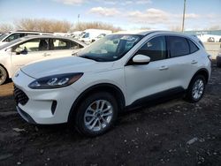 Salvage cars for sale at Des Moines, IA auction: 2020 Ford Escape SE