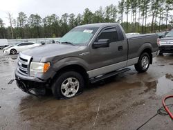 Salvage cars for sale at Harleyville, SC auction: 2013 Ford F150