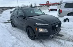 Salvage cars for sale at Cookstown, ON auction: 2019 Hyundai Kona SEL