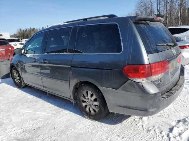 2010 Honda Odyssey EXL