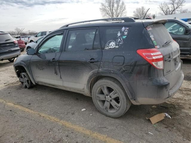 2010 Toyota Rav4 Sport