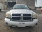 2007 Dodge Dakota SLT