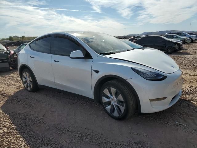 2020 Tesla Model Y