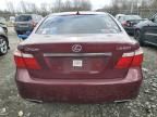 2008 Lexus LS 460