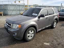 Salvage cars for sale at Dyer, IN auction: 2012 Ford Escape XLT