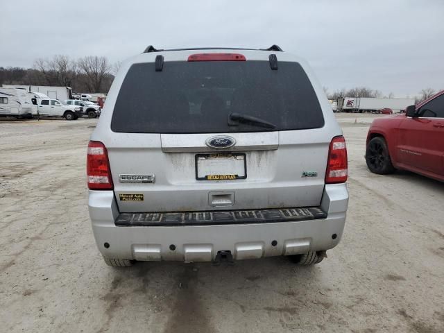 2010 Ford Escape Limited