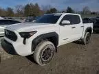 2024 Toyota Tacoma Double Cab