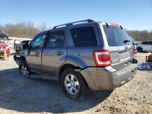 2010 Ford Escape Limited