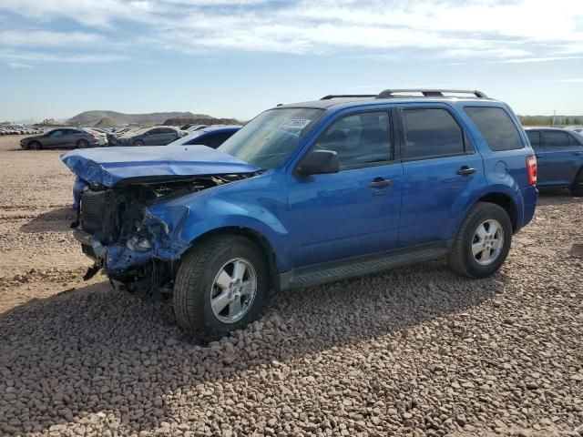 2011 Ford Escape XLT