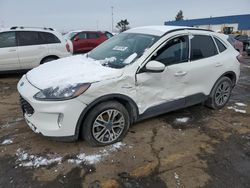 Ford Escape sel salvage cars for sale: 2021 Ford Escape SEL