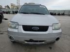 2005 Ford Escape Limited