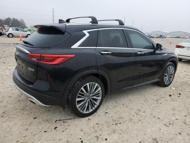 2024 Infiniti QX50 Sensory