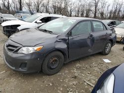 Salvage cars for sale at auction: 2011 Toyota Corolla Base