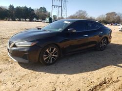 Salvage cars for sale at China Grove, NC auction: 2019 Nissan Maxima S