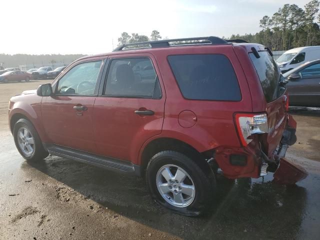 2009 Ford Escape XLT