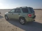 2008 Ford Escape XLT