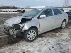 Toyota salvage cars for sale: 2010 Toyota Corolla Base