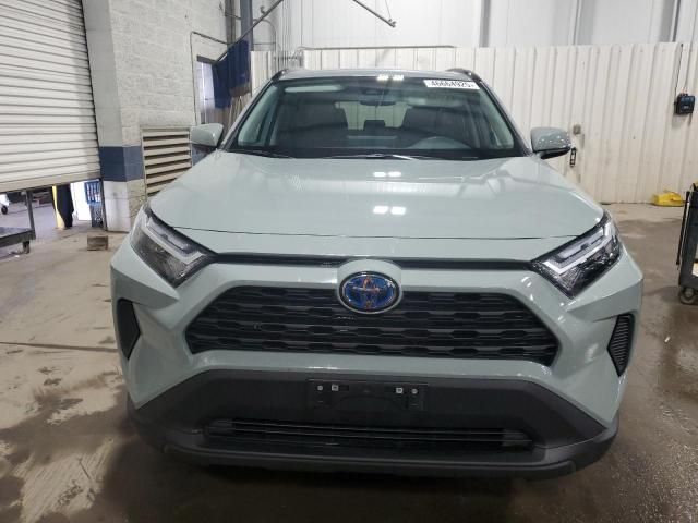 2023 Toyota Rav4 XLE