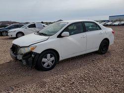 Salvage cars for sale at auction: 2011 Toyota Corolla Base