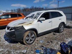 Salvage cars for sale at Lawrenceburg, KY auction: 2012 KIA Sorento EX