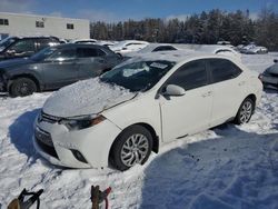 Salvage cars for sale at Cookstown, ON auction: 2016 Toyota Corolla L