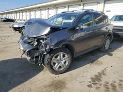 Salvage cars for sale at Louisville, KY auction: 2013 Toyota Rav4 LE