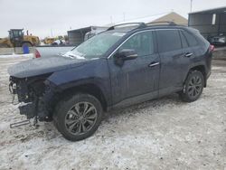 Salvage cars for sale at Brighton, CO auction: 2023 Toyota Rav4 Limited