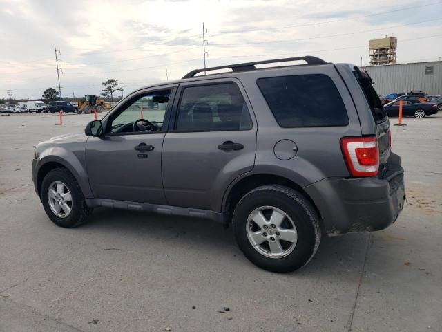 2010 Ford Escape XLT