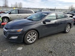 Salvage cars for sale at Arlington, WA auction: 2023 Chevrolet Malibu LT