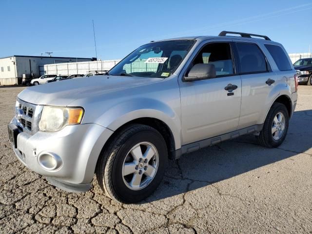 2011 Ford Escape XLT