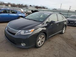 Lexus salvage cars for sale: 2011 Lexus HS 250H