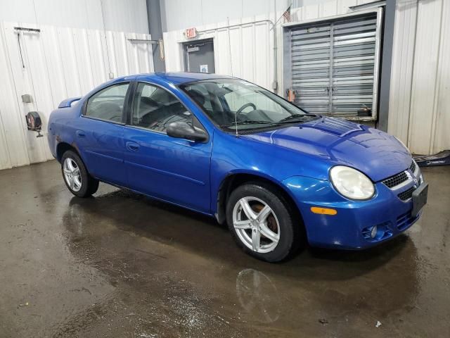 2005 Dodge Neon SXT