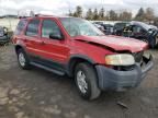 2002 Ford Escape XLT