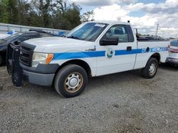 Salvage trucks for sale at Riverview, FL auction: 2013 Ford F150