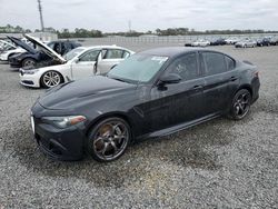 Alfa Romeo salvage cars for sale: 2019 Alfa Romeo Giulia Quadrifoglio