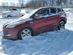 Salvage cars for sale at Davison, MI auction: 2014 Ford Escape SE